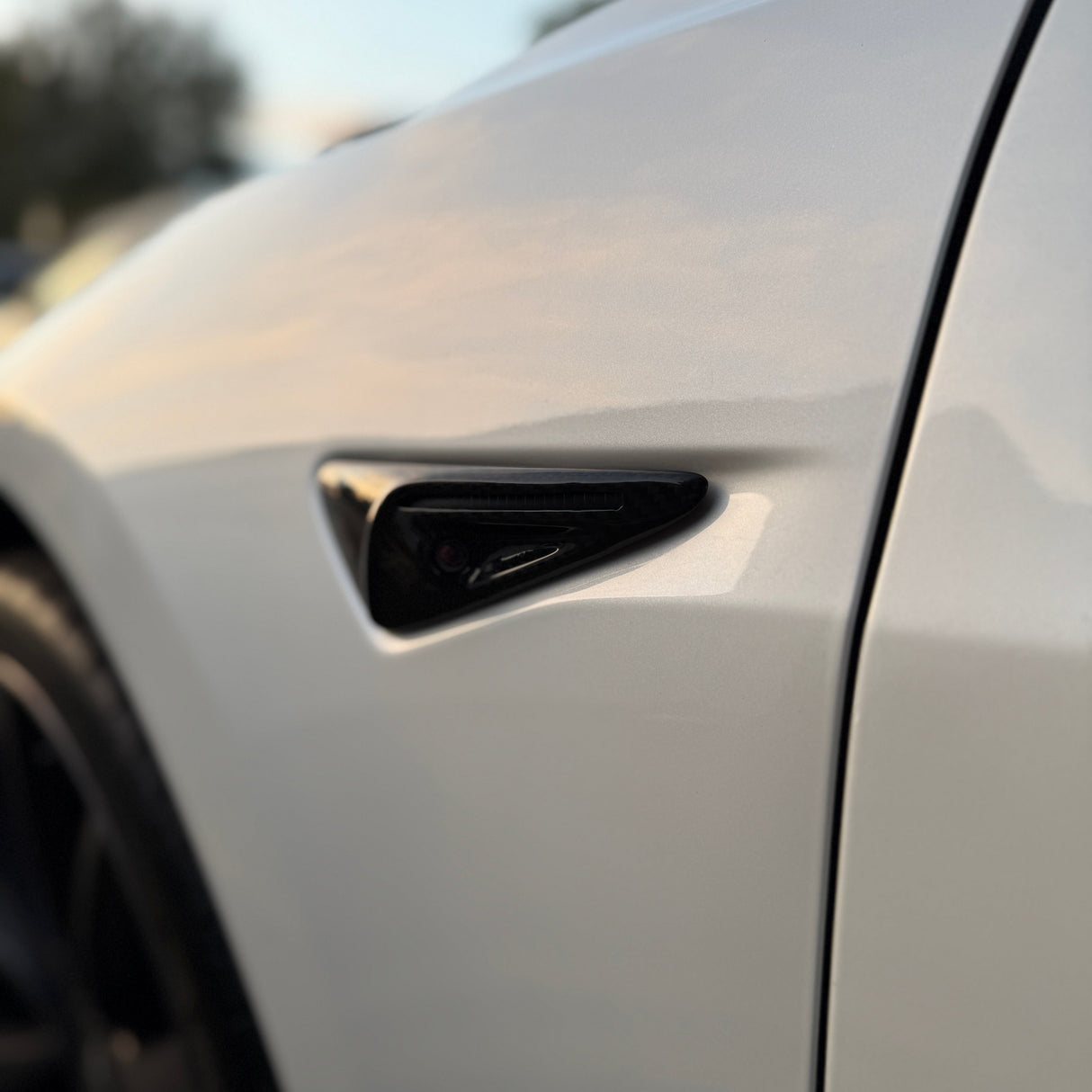 Model 3: Dry Carbon Fibre Side Camera Cover 17-23